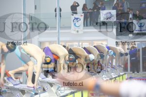 Image 100 M V 0088
