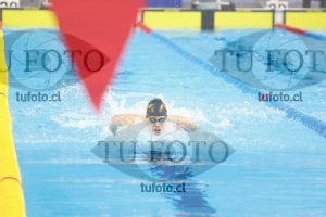 Image 100 M V 0096