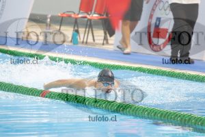 Image 100 M V 0099