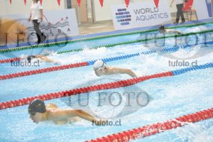 Image 100 M V 0101
