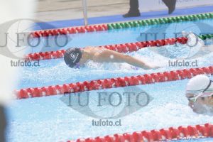 Image 100 M V 0102