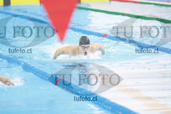 Image 100 M V 0146