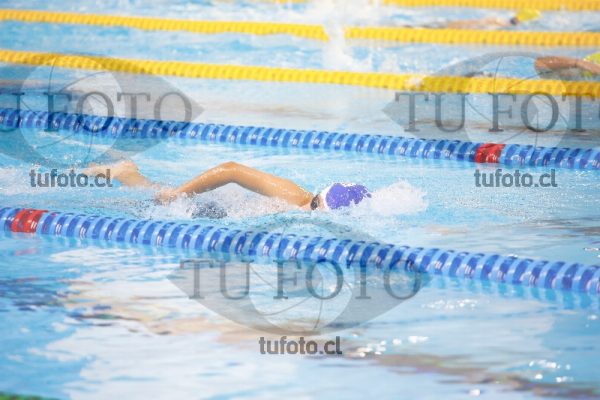 Image 200 L D 0016