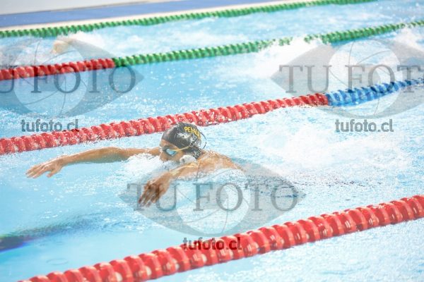 Image 200 C V 0076