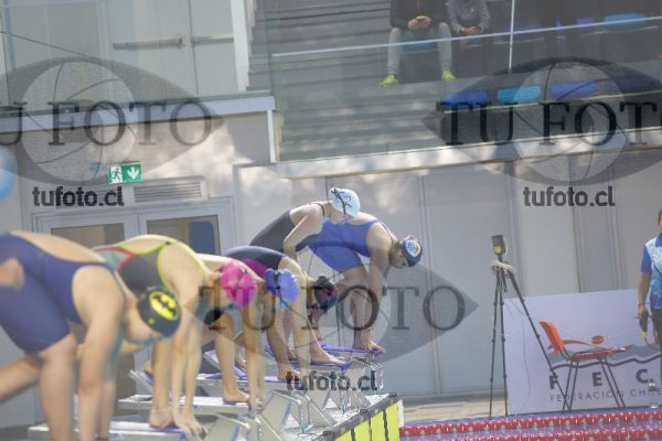 Image 50 L D 0067