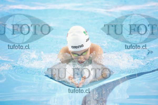 Image 200 P V 0010