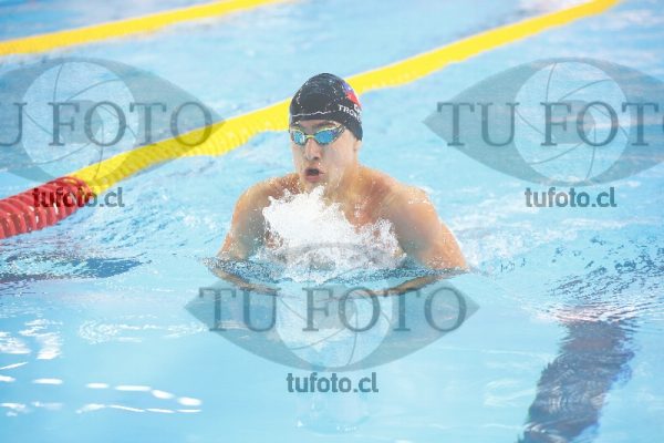 Image 200 P V 0027