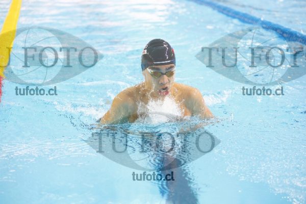 Image 200 P V 0028
