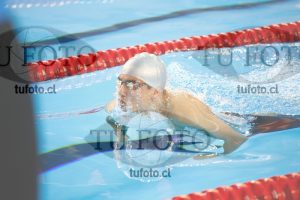 Image 200 P V 0042