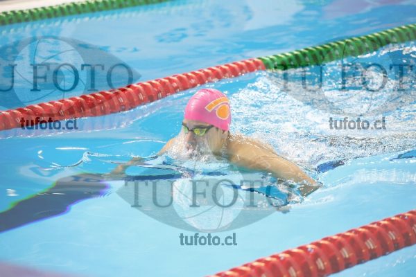 Image 200 P V 0069