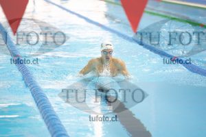 Image 200 P V 0088