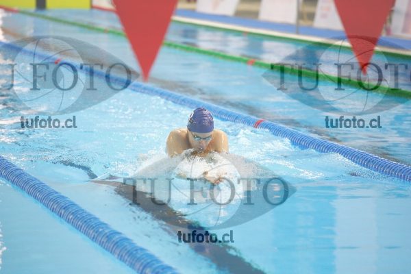 Image 200 P V 0124