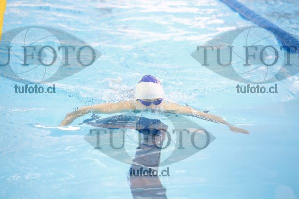 Image 200 P V 0126