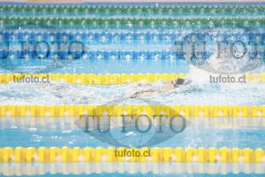 Image 100 E D 0252