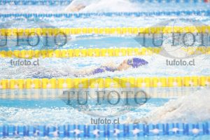 Image 100 E D 0254