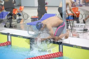 Image 100 L V 0264
