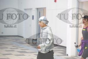 Image 100 P D 0014