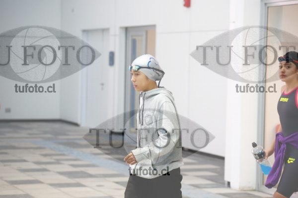 Image 100 P D 0014