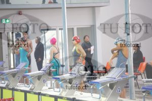 Image 100 P D 0029