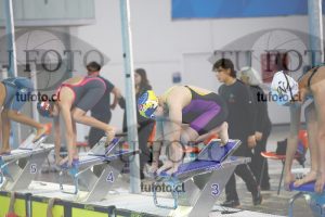 Image 100 P D 0044