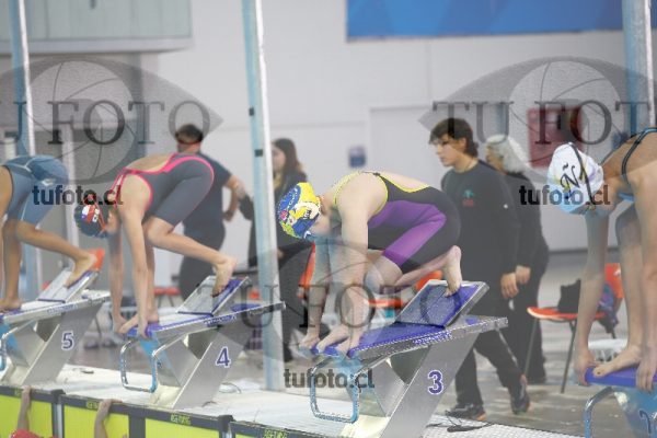 Image 100 P D 0044