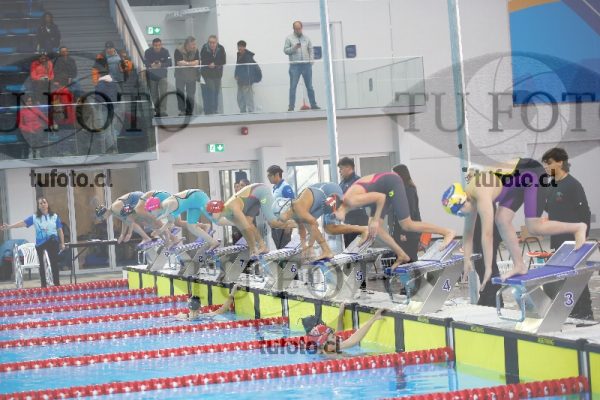Image 100 P D 0048