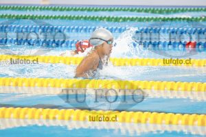 Image 100 P D 0061