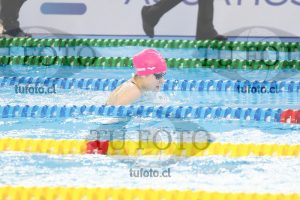 Image 100 P D 0063