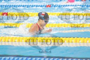 Image 100 P D 0064