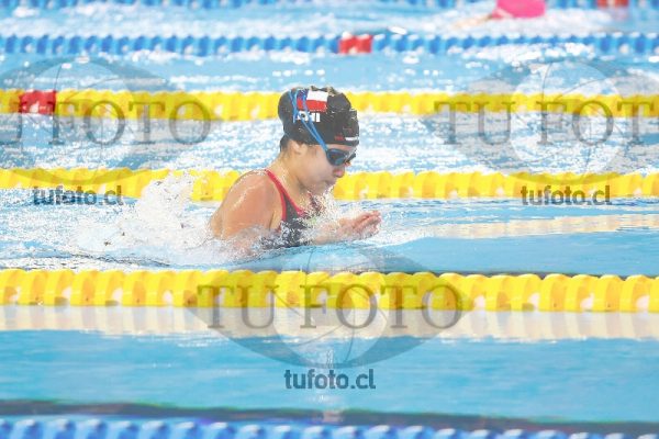 Image 100 P D 0064