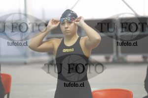 Image 100 P D 0094