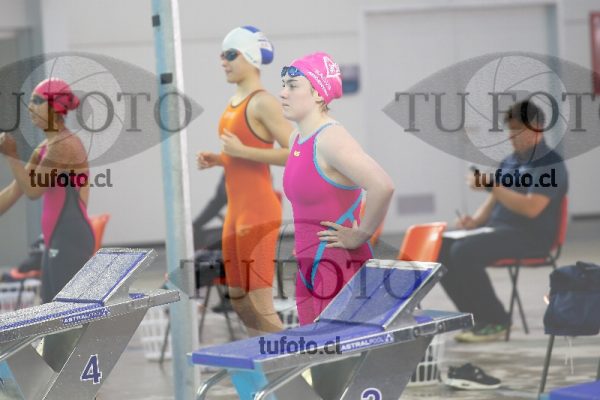 Image 100 P D 0101