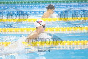 Image 100 P D 0108