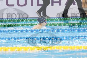Image 100 P D 0110