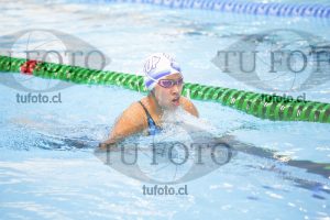 Image 100 P D 0113