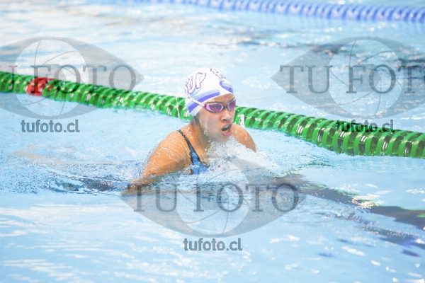 Image 100 P D 0113