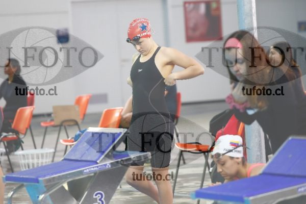 Image 100 P D 0153
