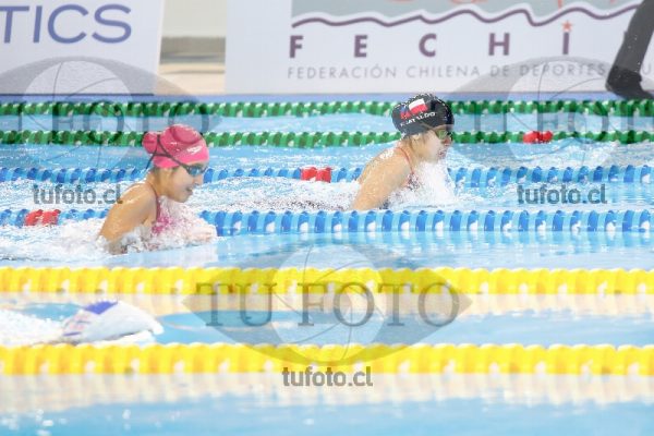Image 100 P D 0155