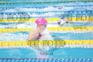 Image 100 P D 0158