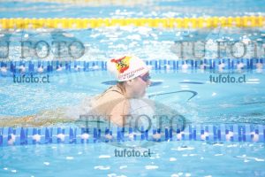 Image 100 P D 0164