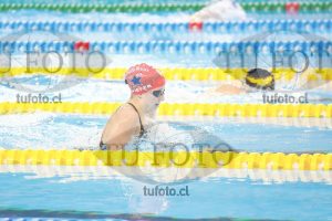 Image 100 P D 0193