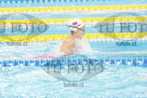 Image 100 P D 0200
