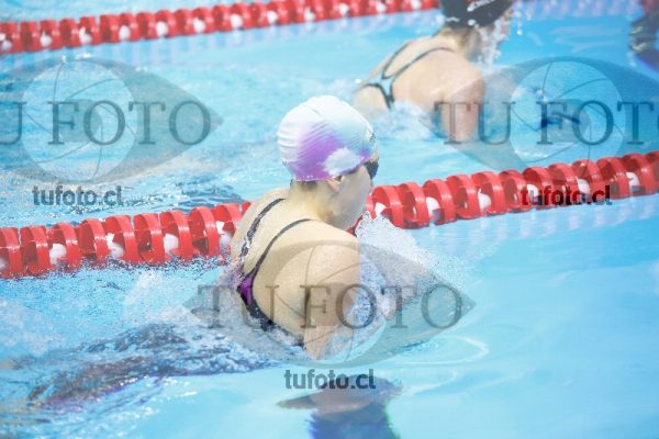 Image 100 P D 0202