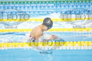 Image 100 P D 0230