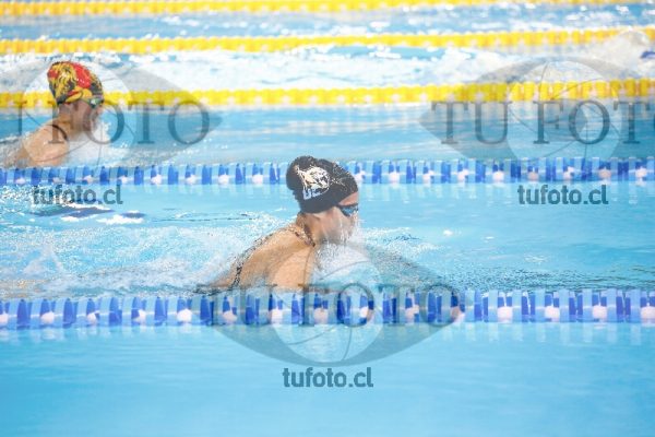Image 100 P D 0257