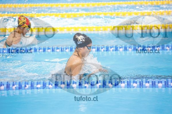 Image 100 P D 0258