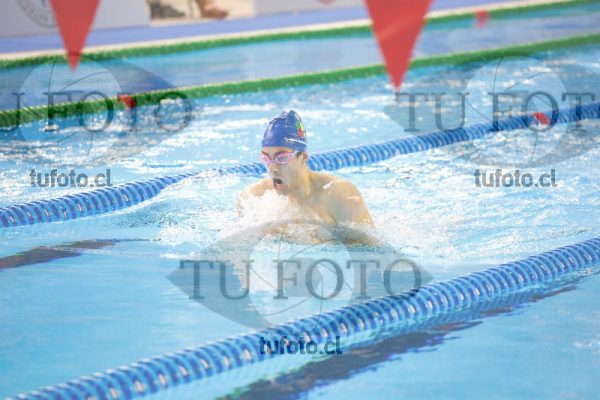 Image 200 P Vpm 0039