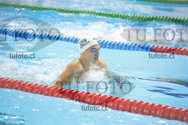 Image 200 P Vpm 0041