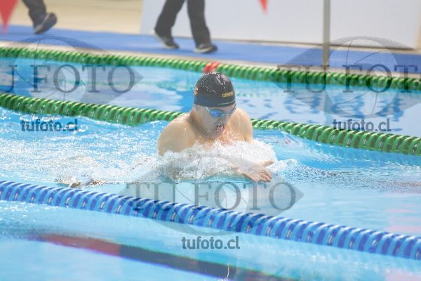Image 200 P Vpm 0031