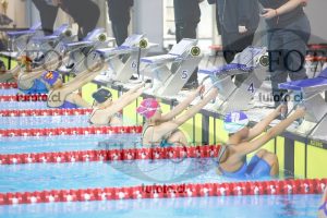 Image 100 E Dpm 0017